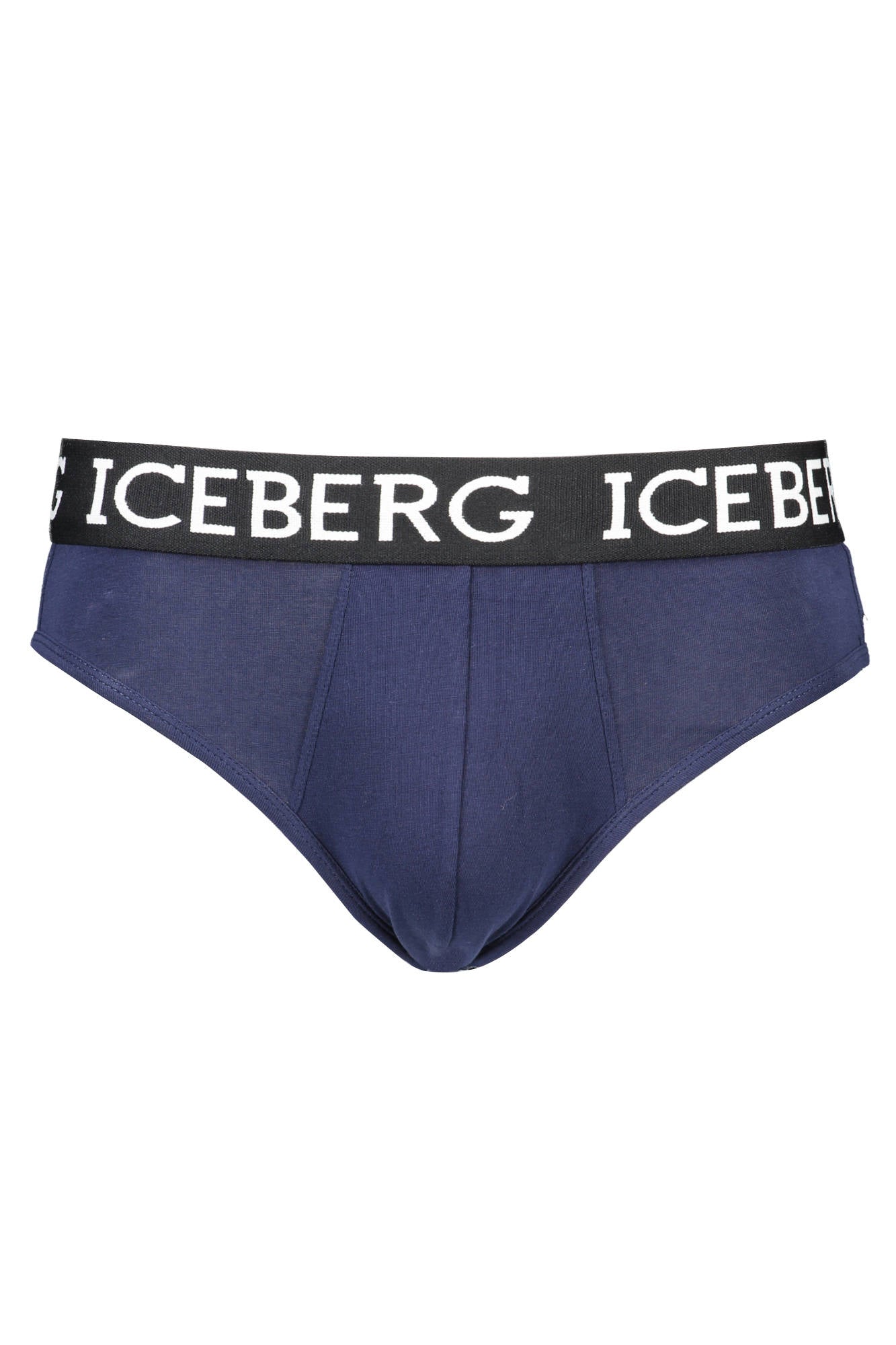 ICEBERG Brief