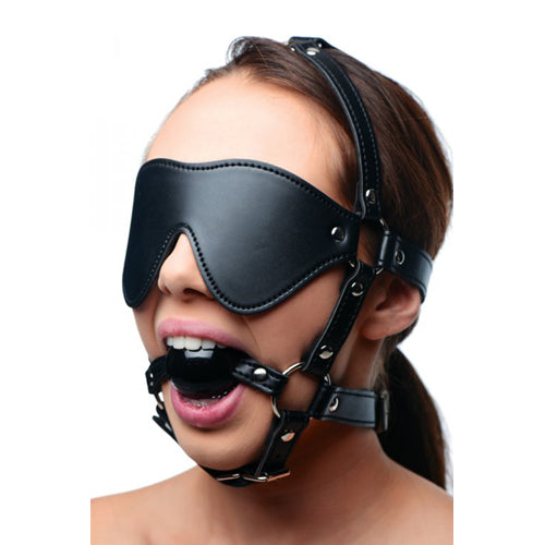 Head harness with blindfold and ball gag